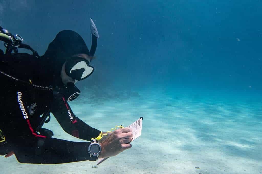 Diver writing on slate underwater