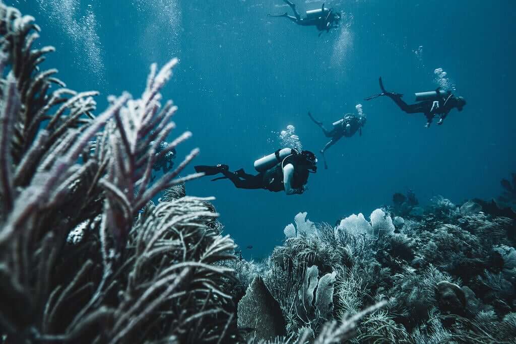 Group of divers swimming underwater