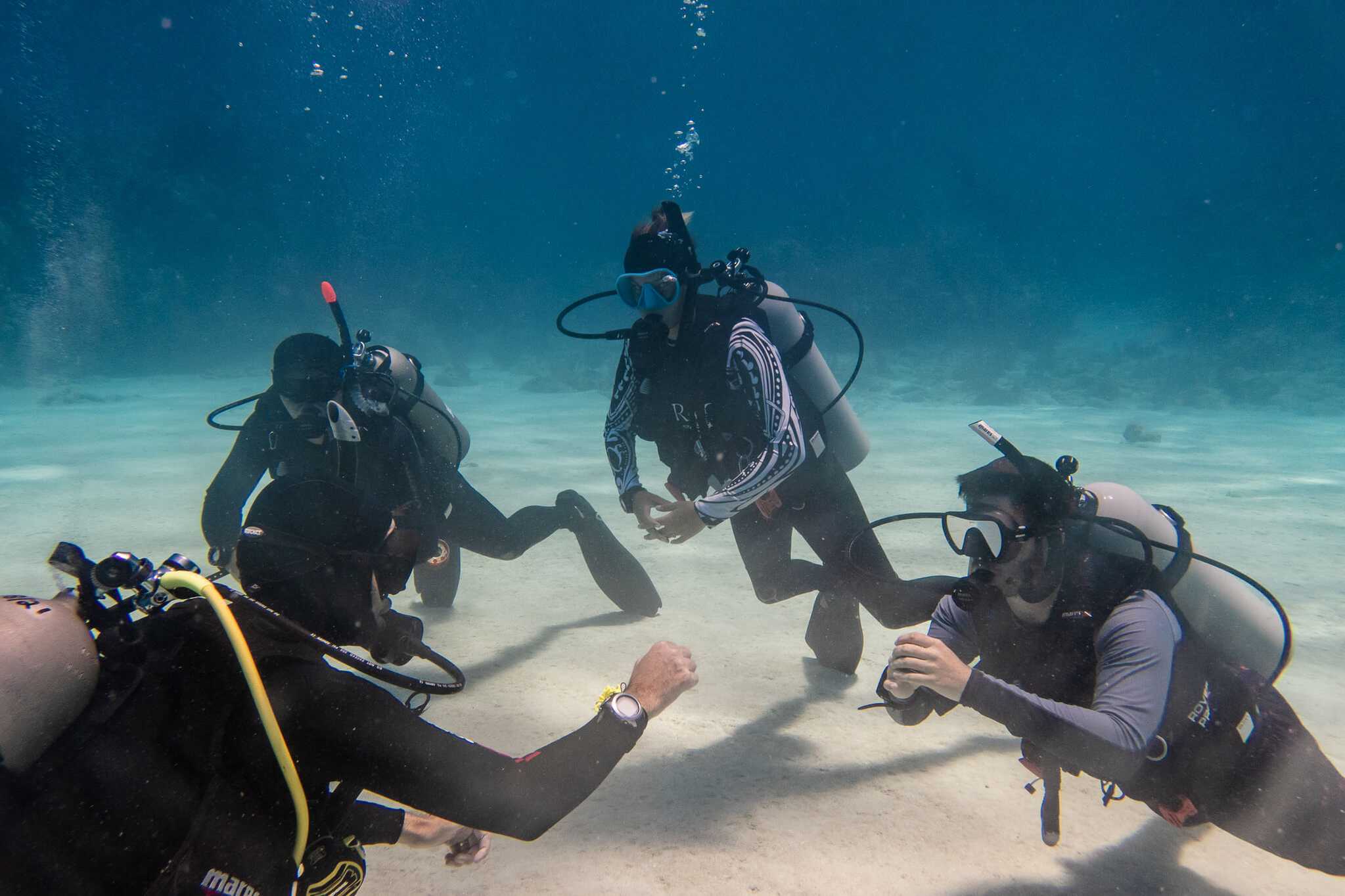 Divers in circle under water