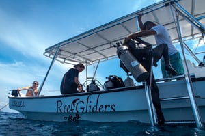 Diver climbing the ladder after a dive