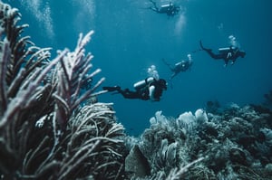 Diving group swimming over coral reef