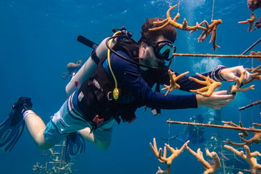 Instructor candidate taking part in the coral restoration course