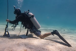 Setting a CESA line in the sand patch