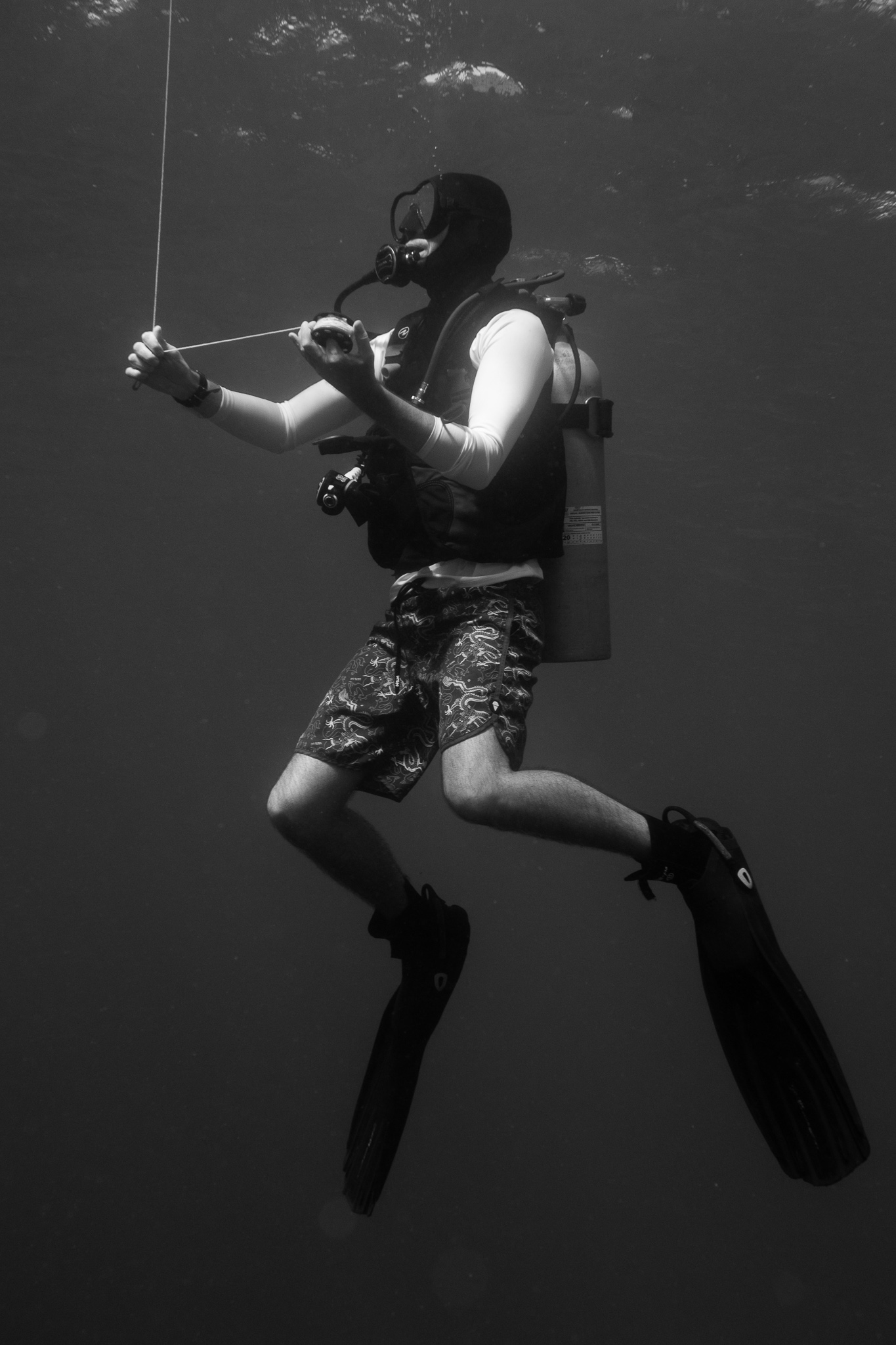 PADI Divemaster Course Take the best Divemaster internship in Roatan