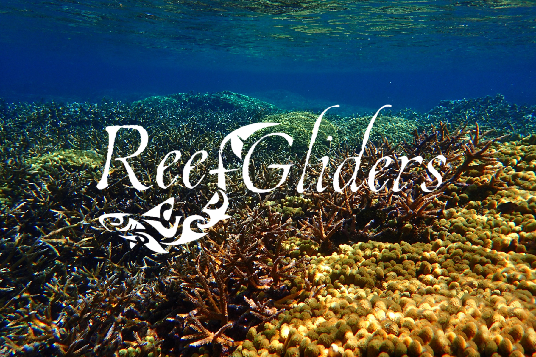 Reef Gliders Logo